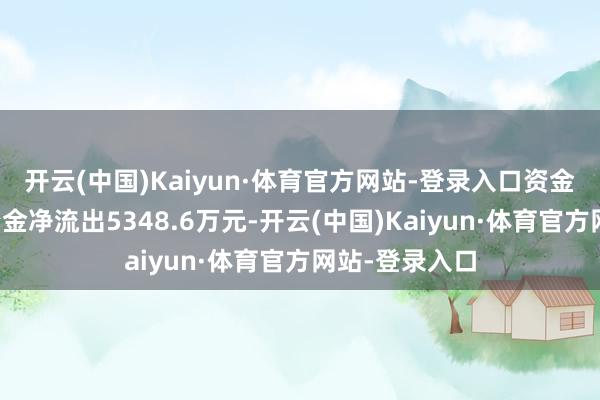 开云(中国)Kaiyun·体育官方网站-登录入口资金流向:主力资金净流出5348.6万元-开云(中国)Kaiyun·体育官方网站-登录入口