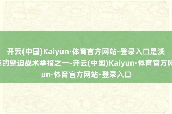 开云(中国)Kaiyun·体育官方网站-登录入口是沃尔玛门店变革的蹙迫战术举措之一-开云(中国)Kaiyun·体育官方网站-登录入口