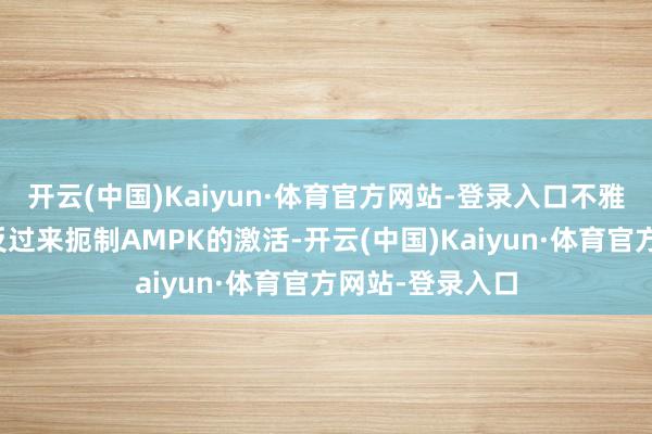 开云(中国)Kaiyun·体育官方网站-登录入口不雅察其是否好像反过来扼制AMPK的激活-开云(中国)Kaiyun·体育官方网站-登录入口